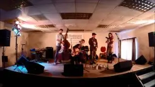 Les' Sanitary - Red Skunk Band