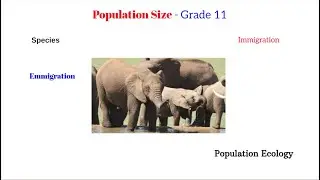 Population size - Population Ecology Grade 11