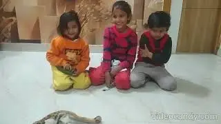 Catch and win 