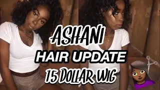 UPDATE ON ASHANI |$15 WIG|HALF UP HALF DOWN