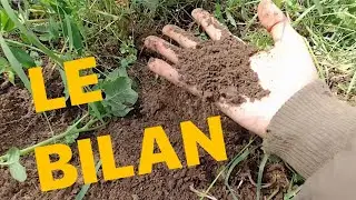 #3 - BILAN BUTTE DE CULTURE AU CROTTIN DE CHEVAL