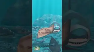 New Kid's Nature Series - 'Adventures with the SharkDoctor' #sharkweek  #shark#sharkdoctor