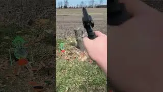 Taurus 605: a 5 shot 357 magnum snub nose, more recoil than 38 special and great conceal carry!