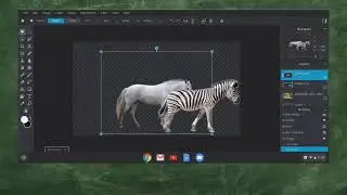 Anywhere Learning: Digital Art with Chromebooks