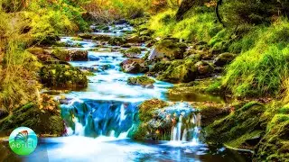 Muzică de Relaxare Divină ce Atrage Liniștea, Dragostea și Bunăstarea în Viața Ta