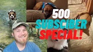 Trivex Silver's Animals! 500 SUBSCRIBER SPECIAL!!!