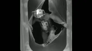 Cyber Tomb Emergence - test sequence 2