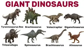 Learn Dinosaur Names in English | 20 Famous Dinosaurs with Clear Descriptions