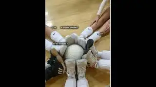 Sometimes good sometimes ehh #volleyball #funnysports #volleyballworld #audio #funnysportspictures