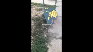 Seviper - Excellent Curveball AR+ (Pok&eacute;mon GO)