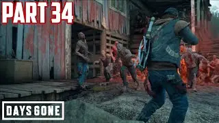 Into Ripper Territory | Days Gone | Part 34