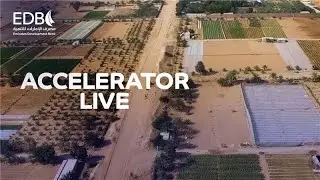 How UAE Farmers are Reinventing Agriculture