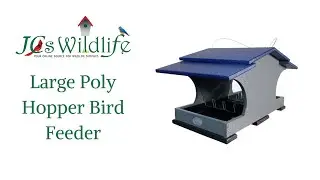 Large Poly Hopper Bird Feeder Product Overview
