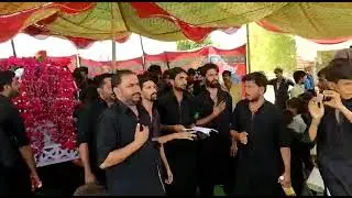 10 mhuram tabot imam hussain as  at village sindhi noha