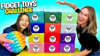 NÃO ESCOLHA A CAIXA DE FIDGET TOYS ERRADA | FIDGET TOYS CHALLENGE | TIO LUCAS E LAILA