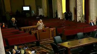 Mr  Spindler, You just borrow money on a Credit Card, Look a Tropical Storm  LA City Council Meeting
