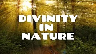 Divine Healing Music | Relaxing & Meditation Music | Calming Music (Absolute Healing)