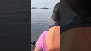 CROCODILE Coming Closer To Our KAYAK! #Dangerous #Crocodile #Kayak