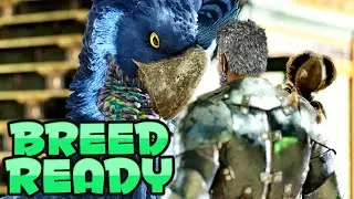 ALL I NEED TO START BREEDING! COMPLETE ASA [E92 - Aberration]
