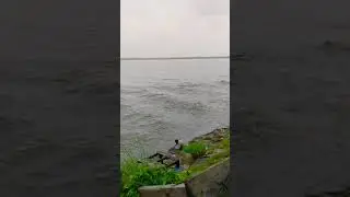 dangerous flow of Ganga ji 😱😱😱/ full video on my channel  # shorts