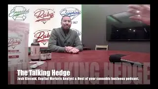 Interview with Kelly Ogilve~ CEO & Founder of Deepcell (2019)