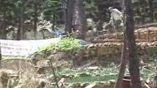 Asian Dust
