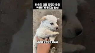 마을의 모든 댕댕이들을 복종하게 만드는 남성