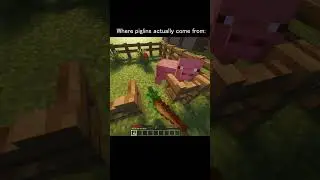 Piglin lore speedrun #minecraft #shorts #meme