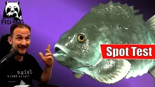 Russian Fishing 4 - Nordmeer - Seehase, Spot test mit Echolot, Pilker und Beifänger, Köder und Set