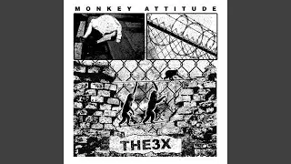 Monkey Attitude