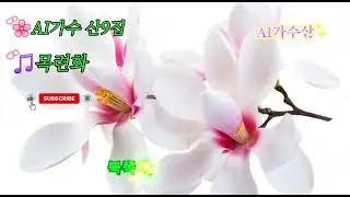 🌸AI가수 산9집4번곡 🎵목련