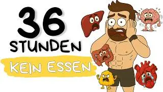 Was passiert mit deinen Organen, wenn du 36 Stunden fastest?