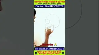 🔥🔥Human Skull simple Drawing ❤️❤️