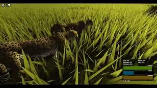 Playing As a Cheetah in Wild Savannah