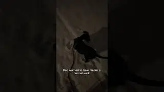 Hey it&lsquo;s me Monty Part 65