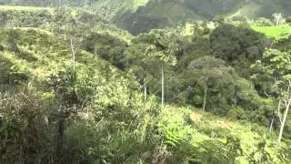 Driving to PNN Tatam&aacute;, Colombia
