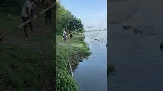 🎣 Fishing for LIFE in a Desi Village | A Day of Traditional Fishing in Rural Life 🌾 Village Ltd