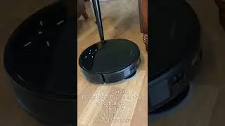 Dancer The Shetland Sheepdog Introduces The Roborock Saros 10R