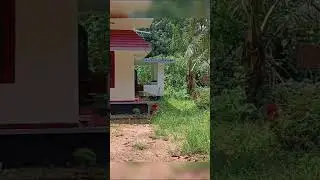 Nedumpana Stadium 21cent house 3bdrm common bathroom 35 lakhs negotiable call (9645289921)