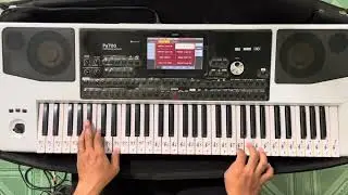 Pro Vas jet Cover Thắng Korg