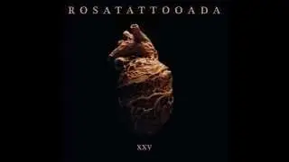 Rosa Tattooada - Cerveja & Rock And Roll
