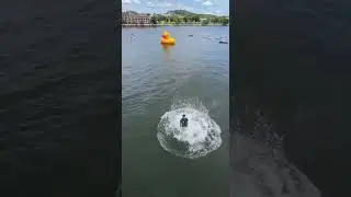 DID YOU SEE IT? 🦆 Unbelievable Duck Tricks #wildlife #nature #animals