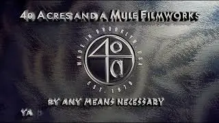 New Line Cinema / 40 Acres and a Mule Filmworks (Bamboozled)