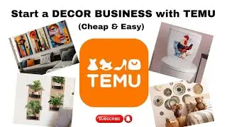 BUILD A 6 FIGURE BUSINESS USING TEMU | LOW BUDGET, HIGH PROFIT BUSINESS IDEA