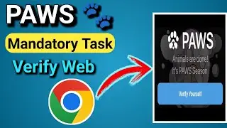 How To Verify Paws via Web || How To Complete Paws Mandatory Task || Paws Verification Method ||