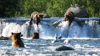 10 Best Photo Locations In Alaska!