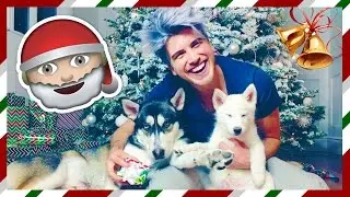 OUR FIRST CHRISTMAS!