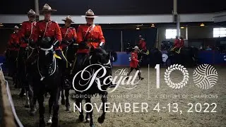 Fun at The Royal Agricultural Winter Fair 2022 - Super dogs, show horses, cows and good food!