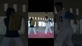 Spinning Roundhouse kick