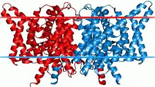 Chloride channel | Wikipedia audio article